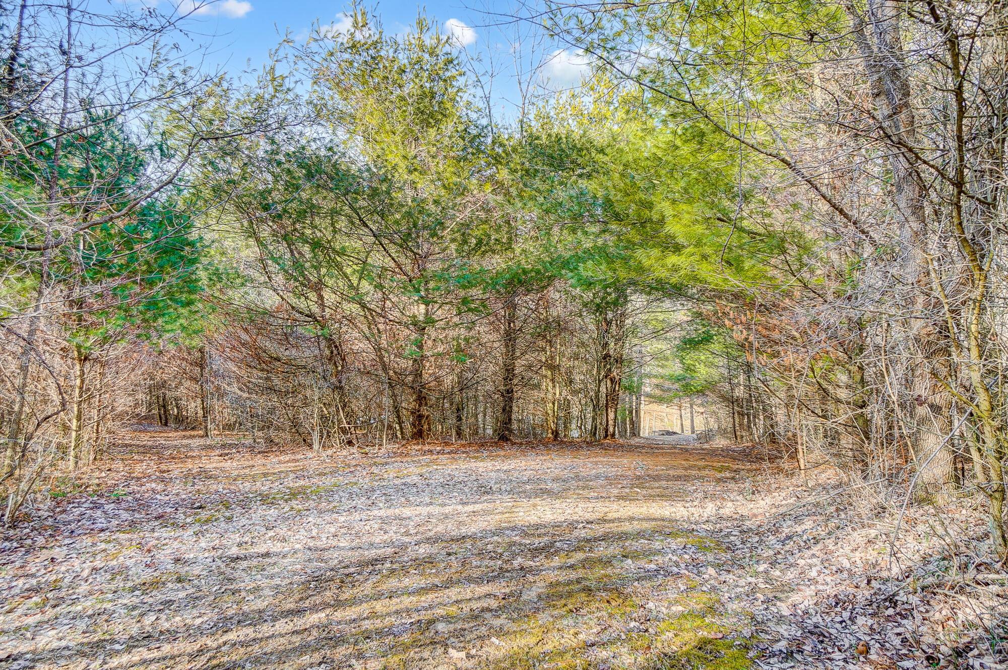 0 Mount Zwingli Road SE, LAND ONLY