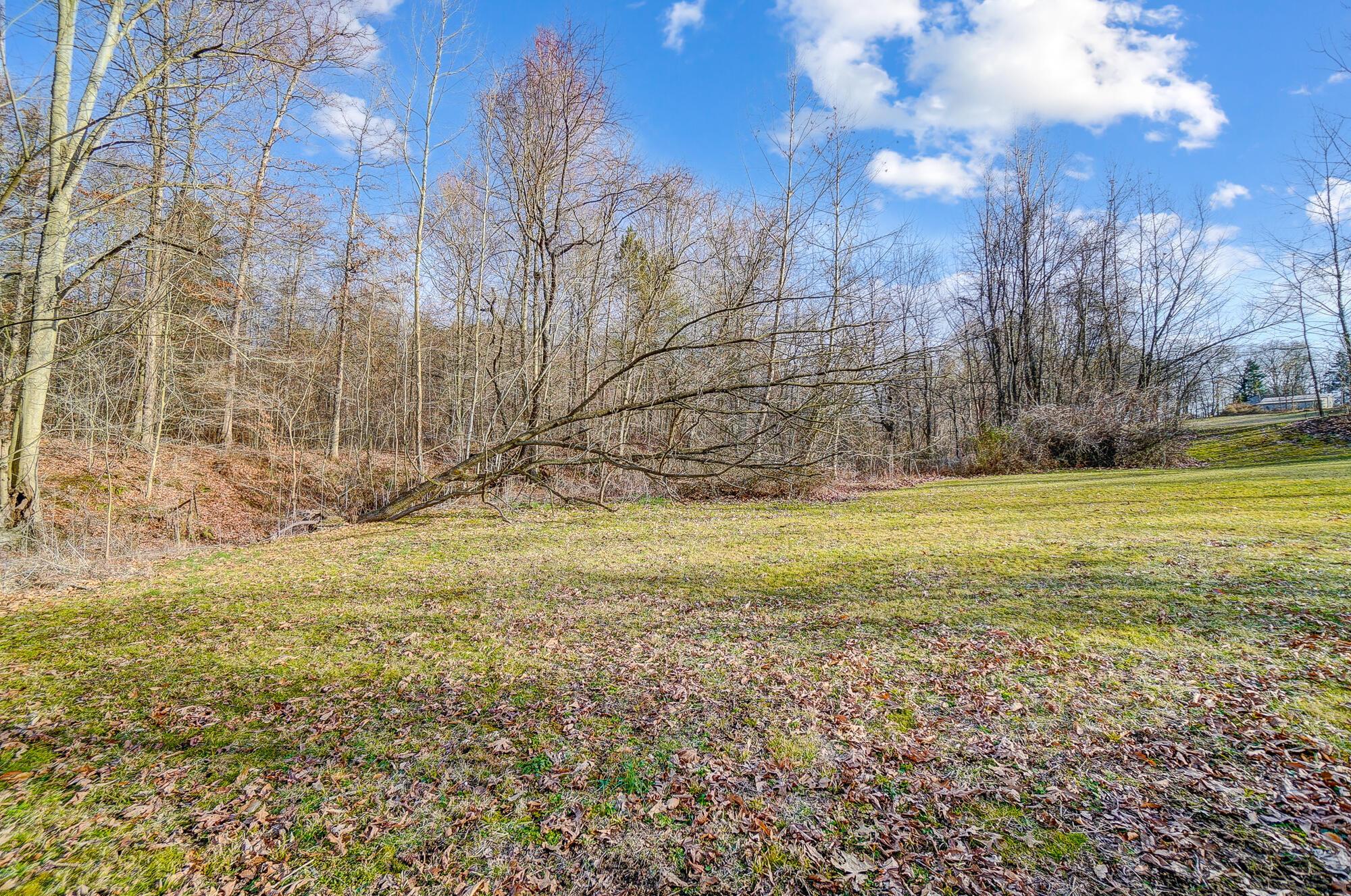 0 Mount Zwingli Road SE, LAND ONLY
