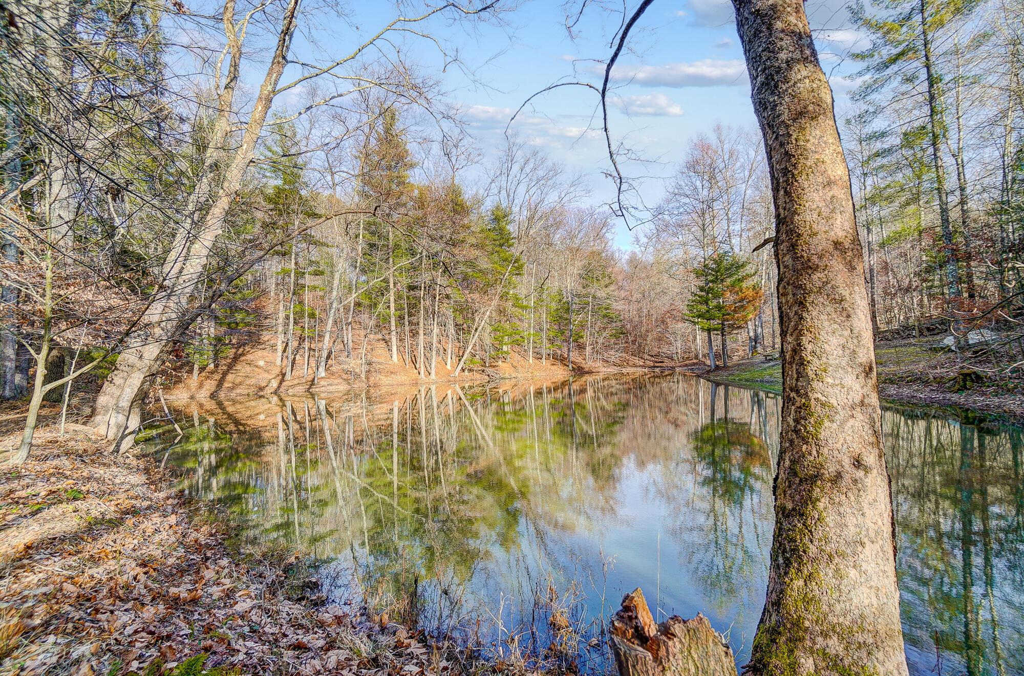 0 Mount Zwingli Road SE, LAND ONLY