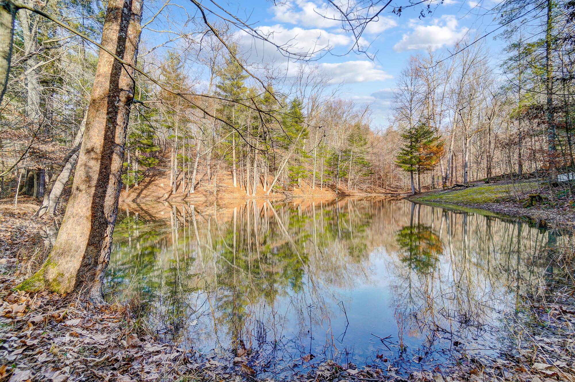 0 Mount Zwingli Road SE, LAND ONLY