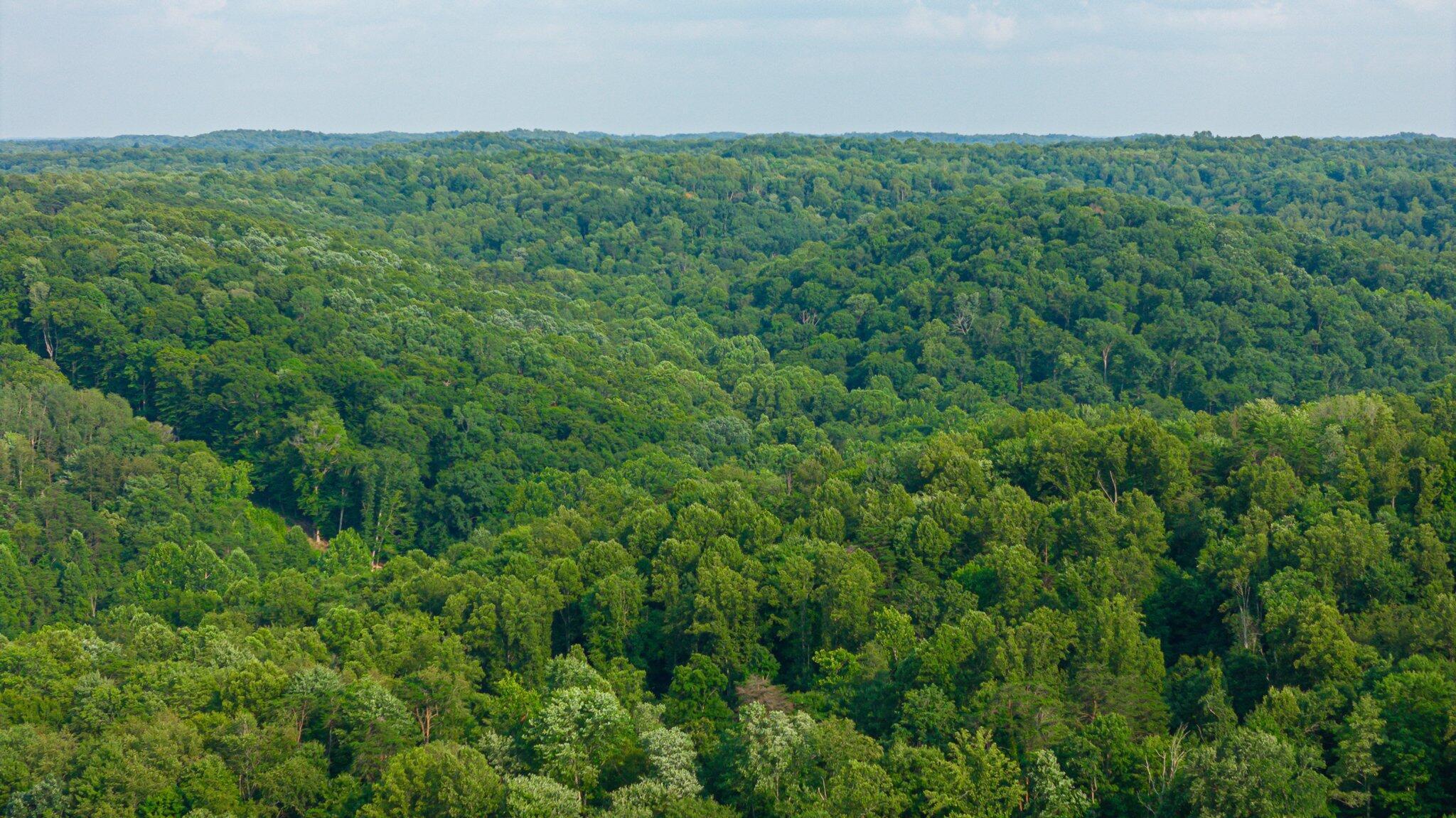 6120 Sponagle Road SE