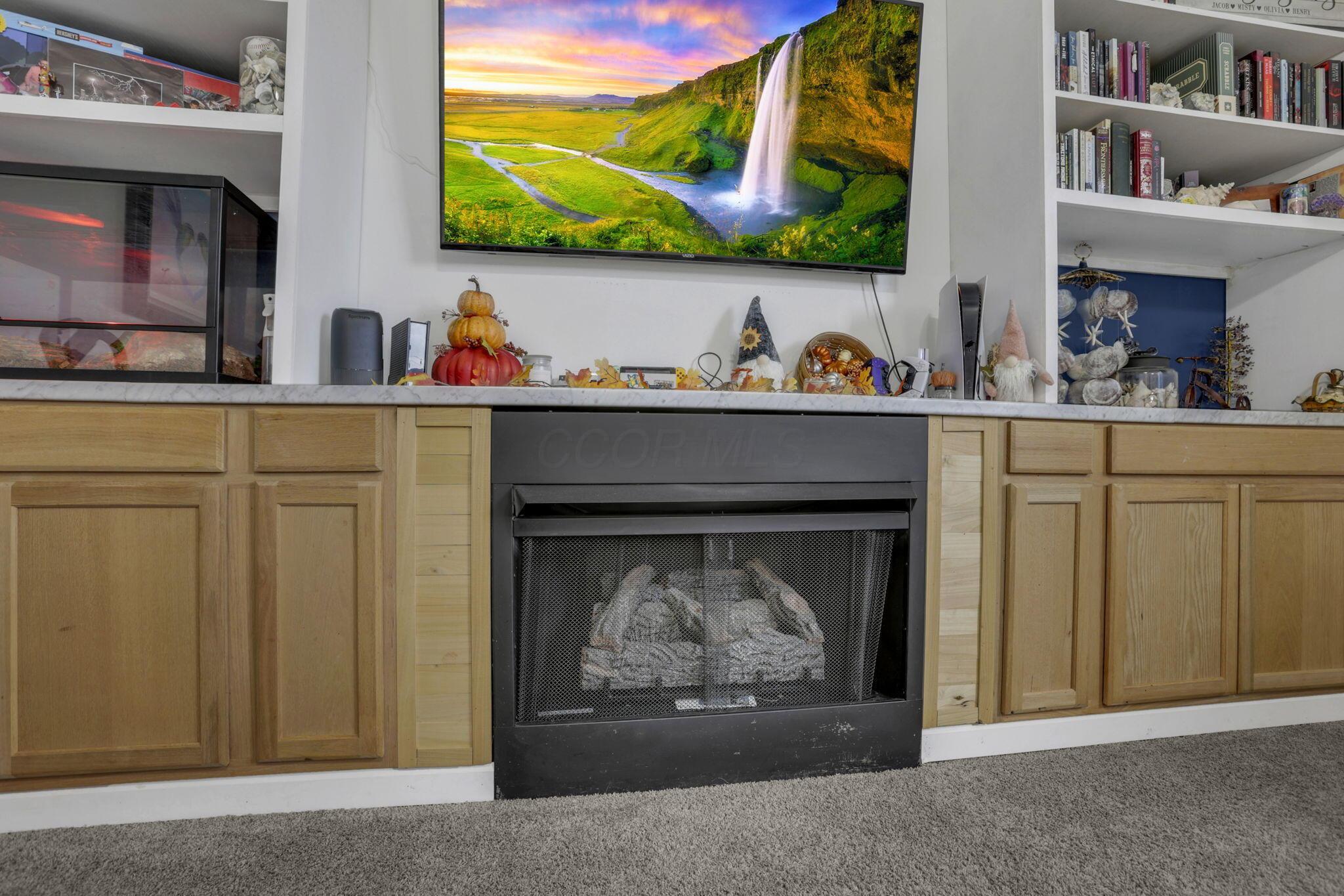 736 Sleigh Hill Court