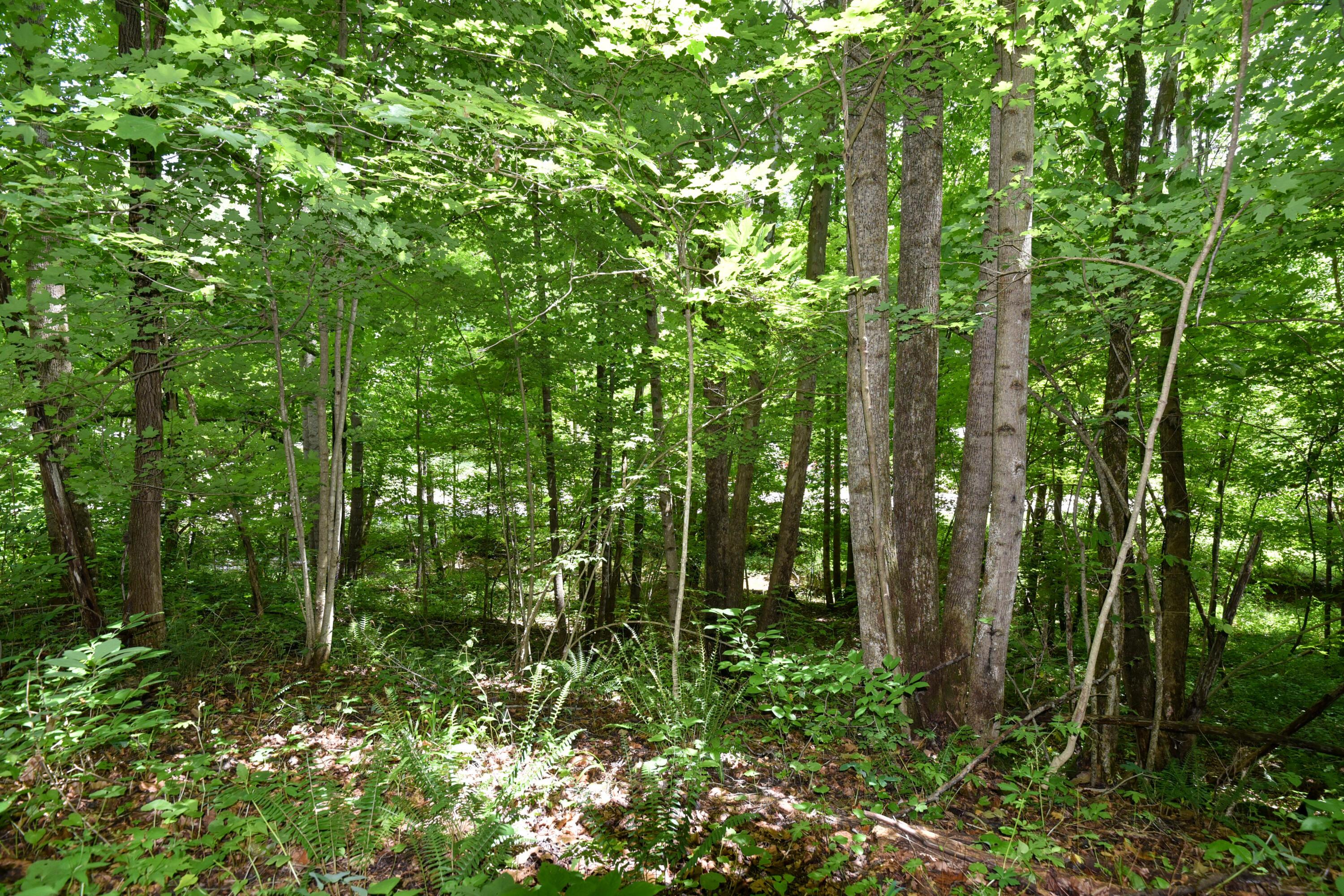 23769 State Route 327