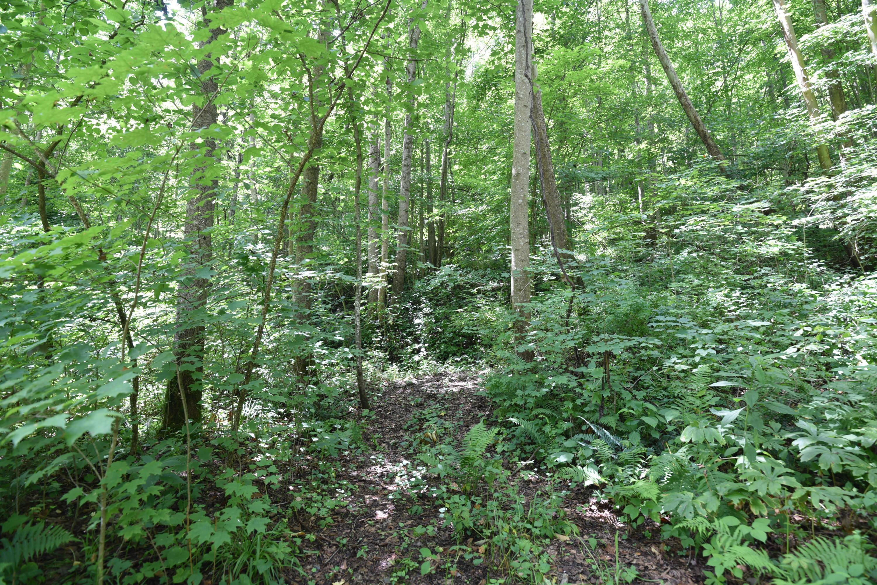 23769 State Route 327