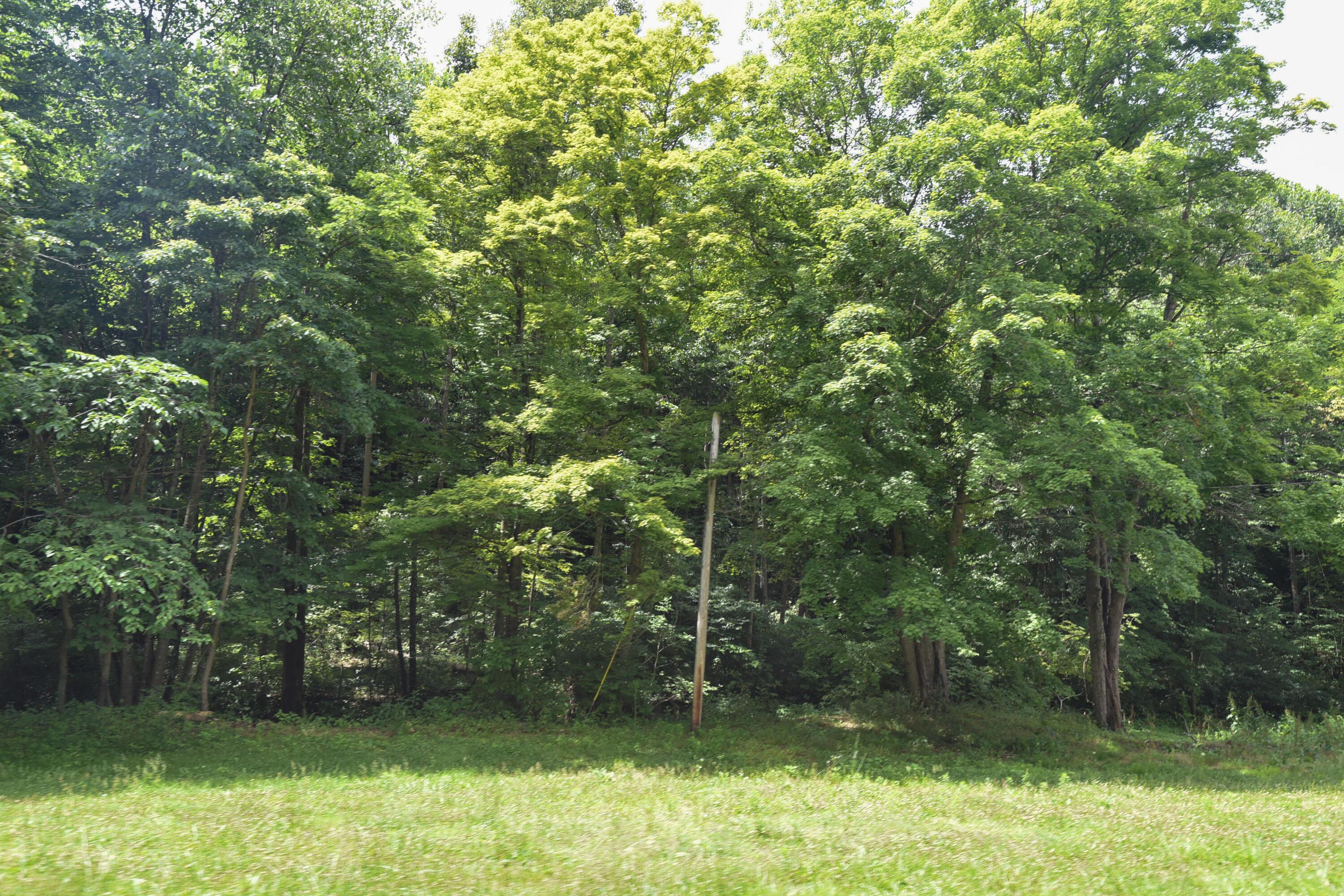 23769 State Route 327