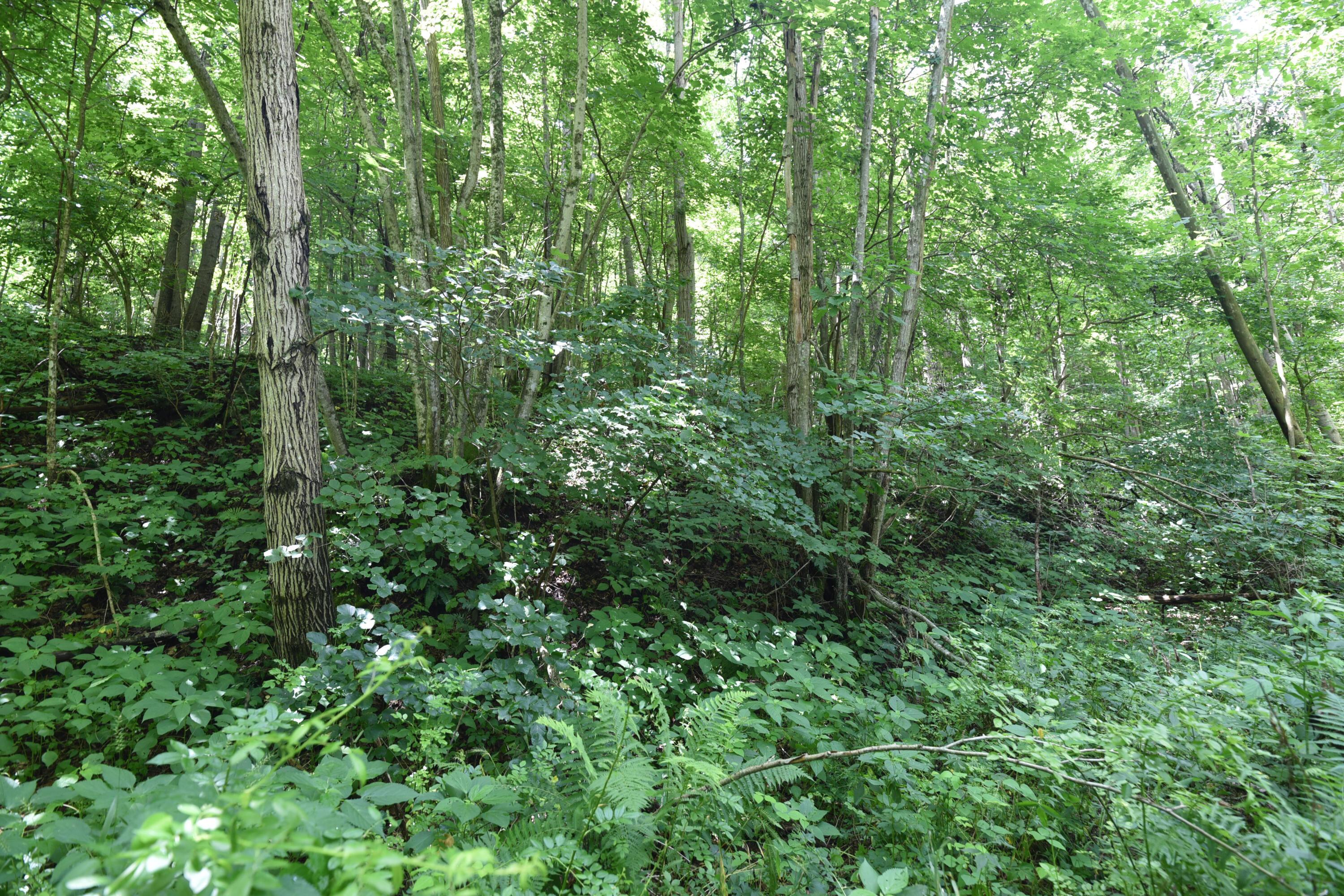 23769 State Route 327