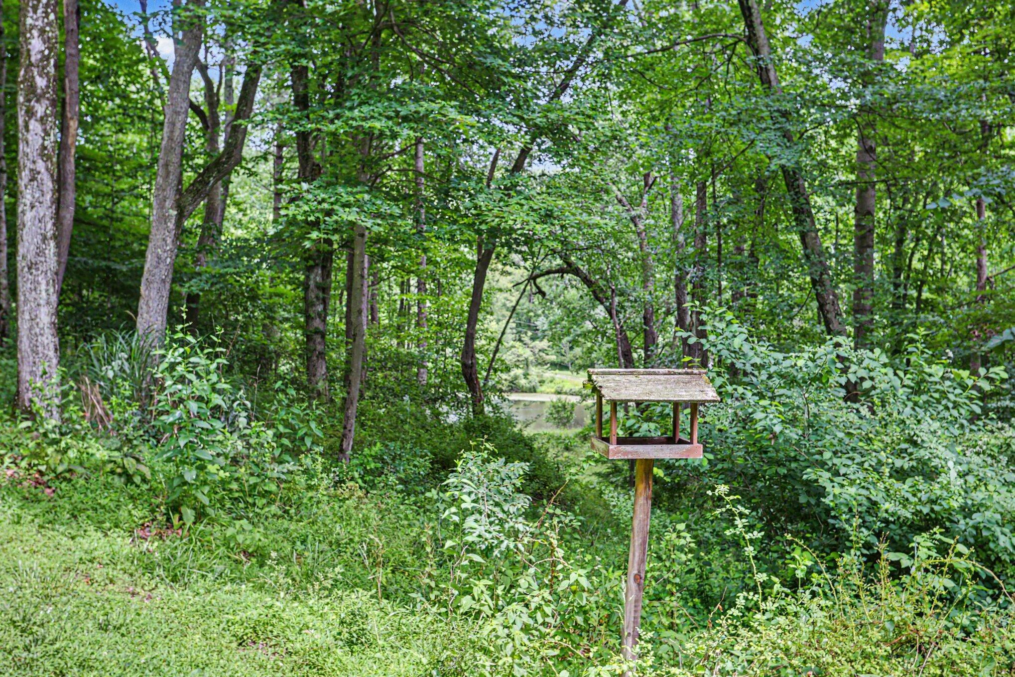 14584 Stump Run, Lot 11
