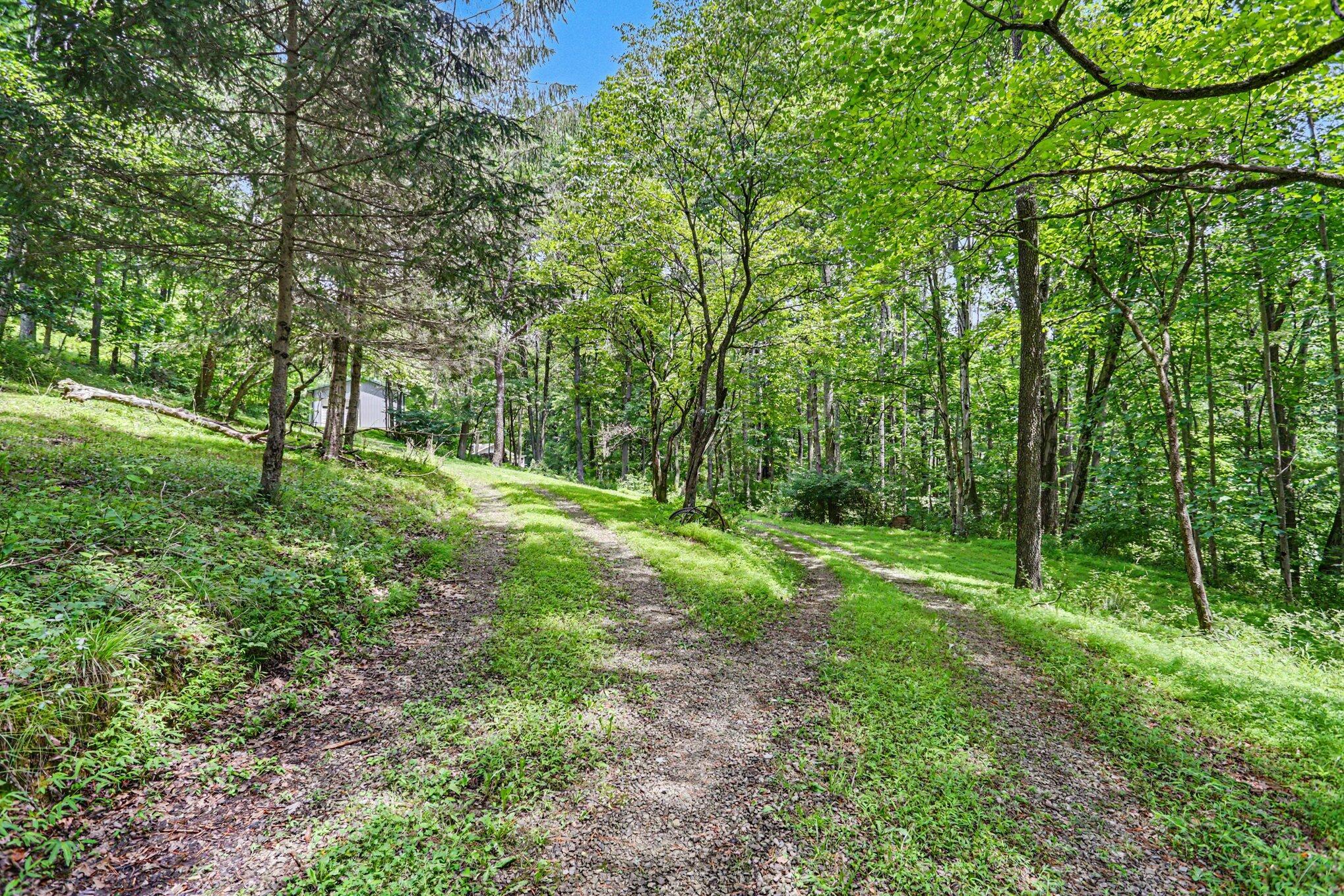 14584 Stump Run, Lot 11