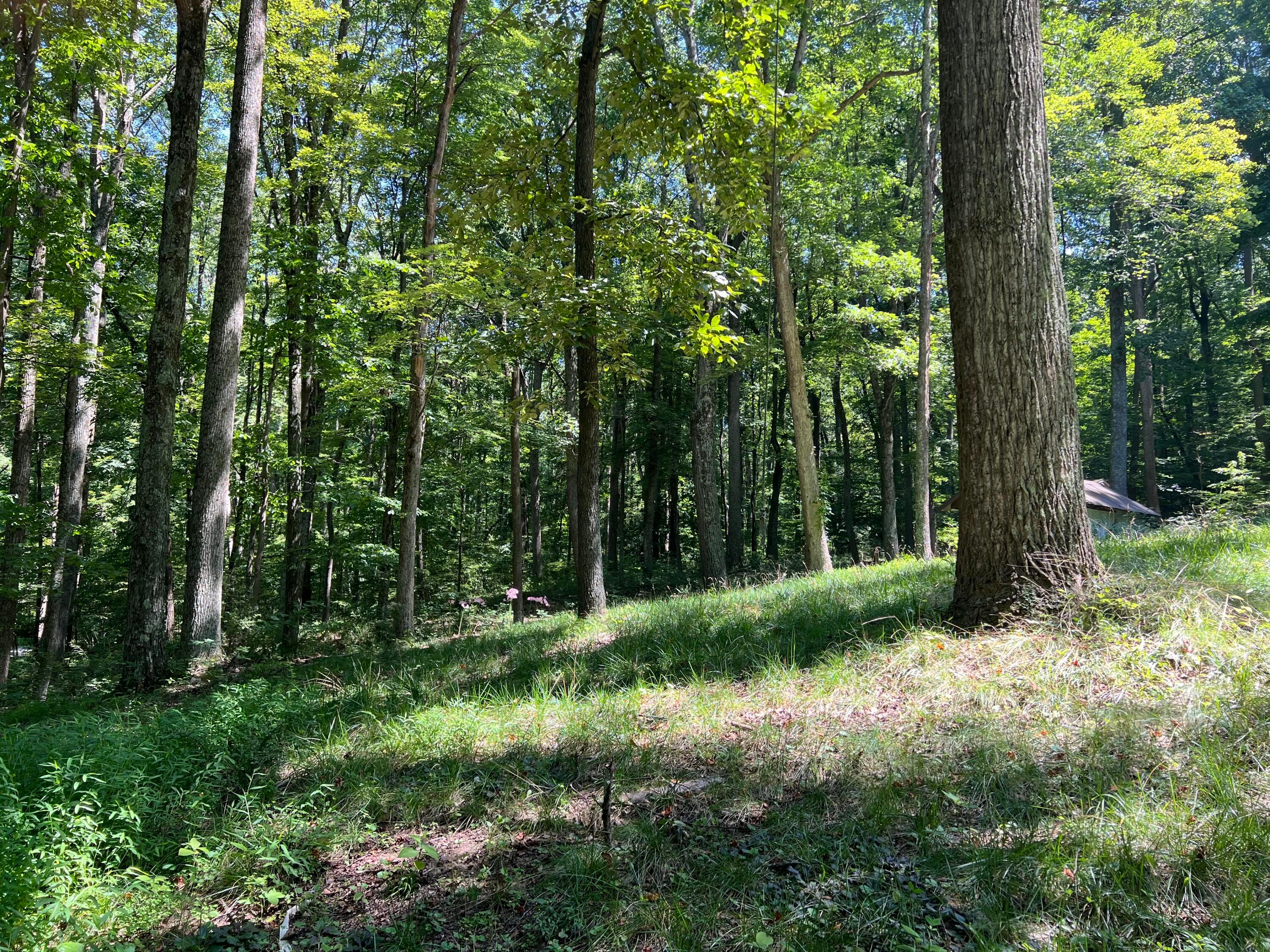 14212 Long Run Road