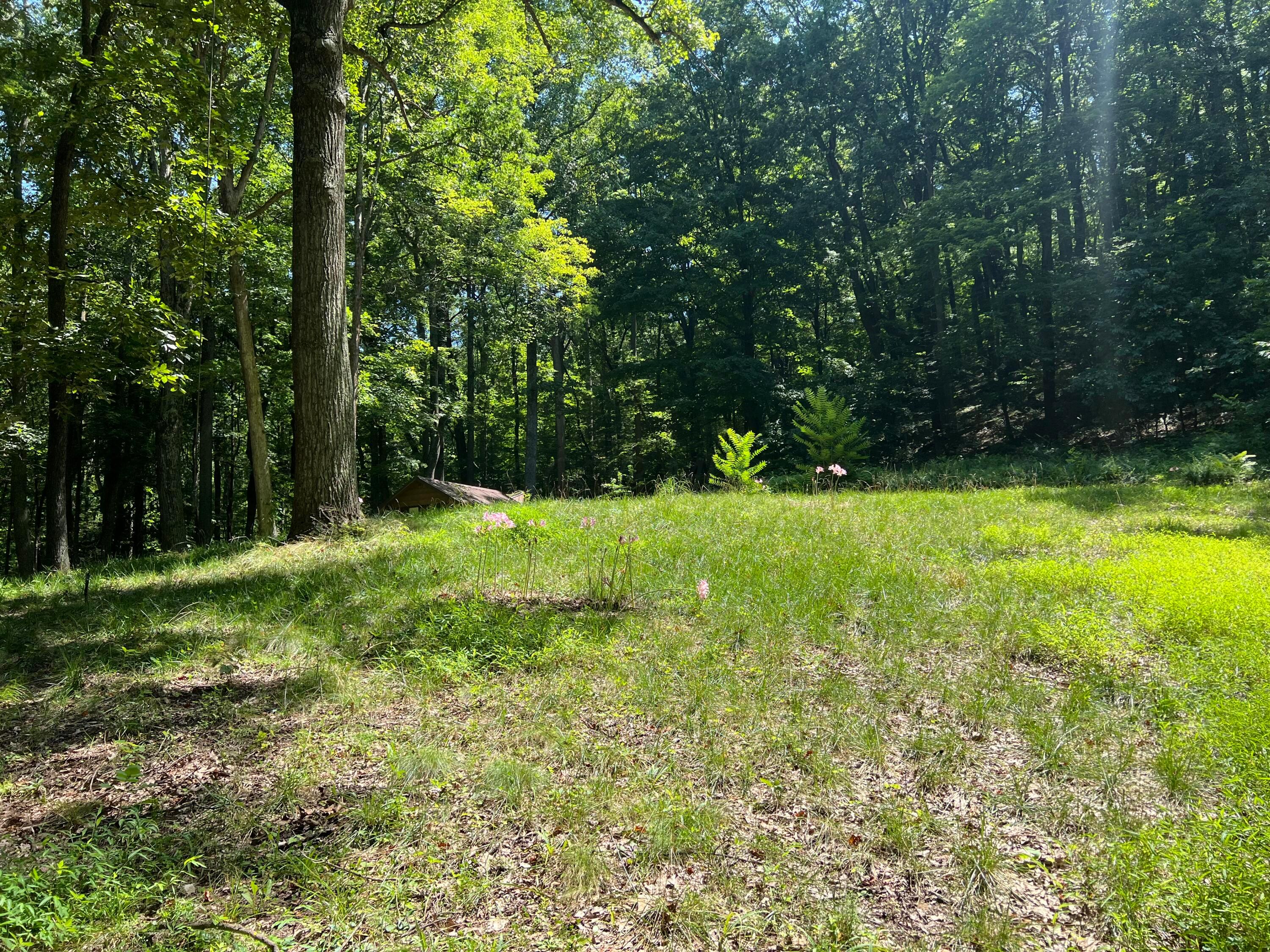 14212 Long Run Road