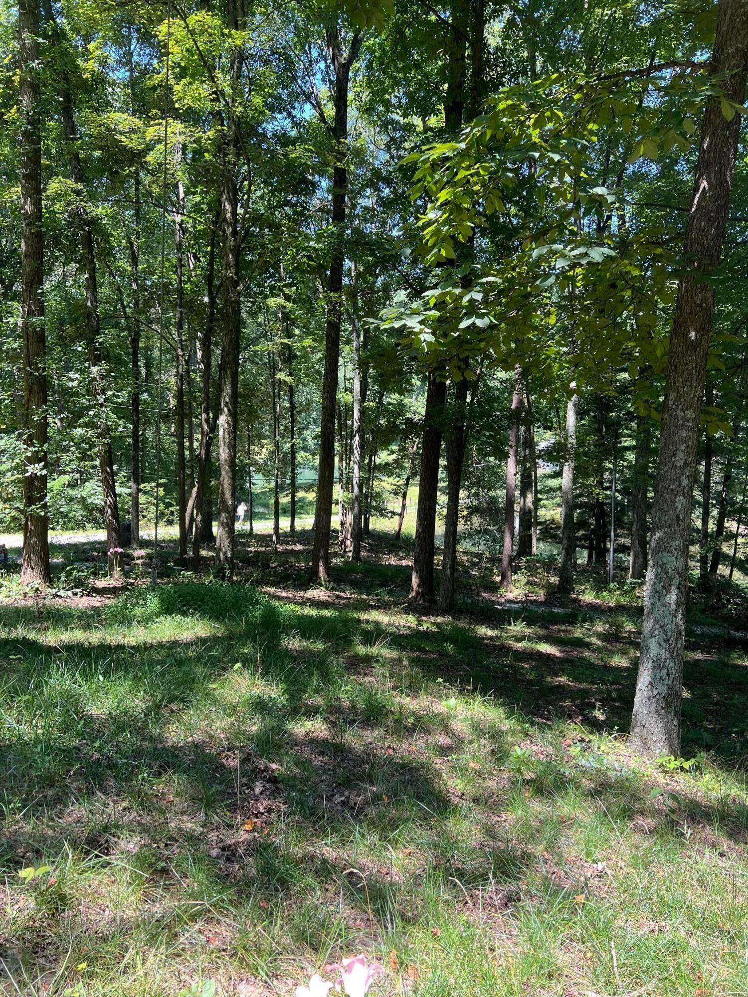 14212 Long Run Road