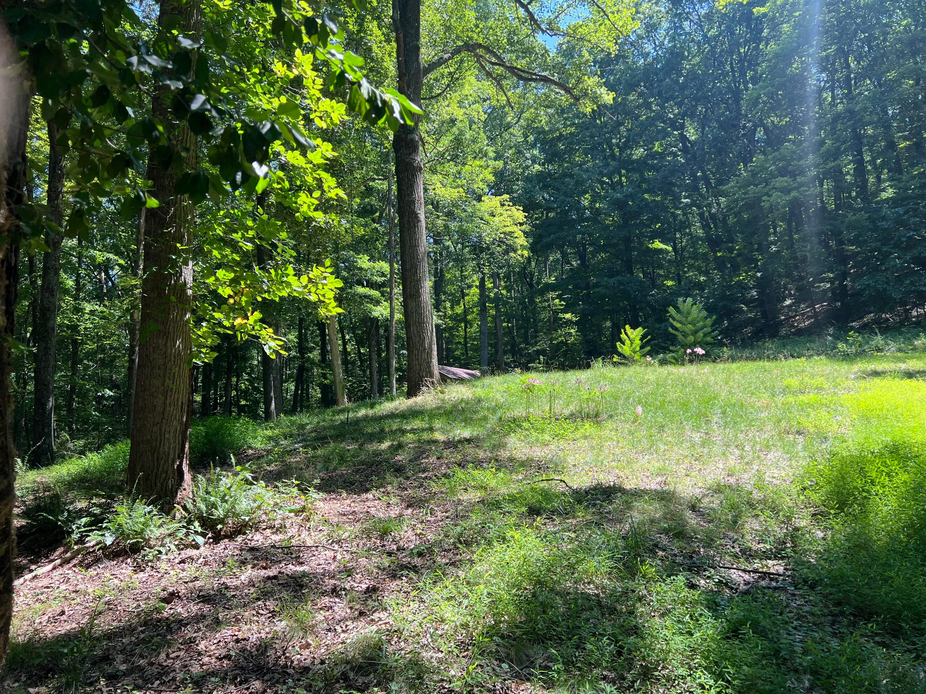 14212 Long Run Road