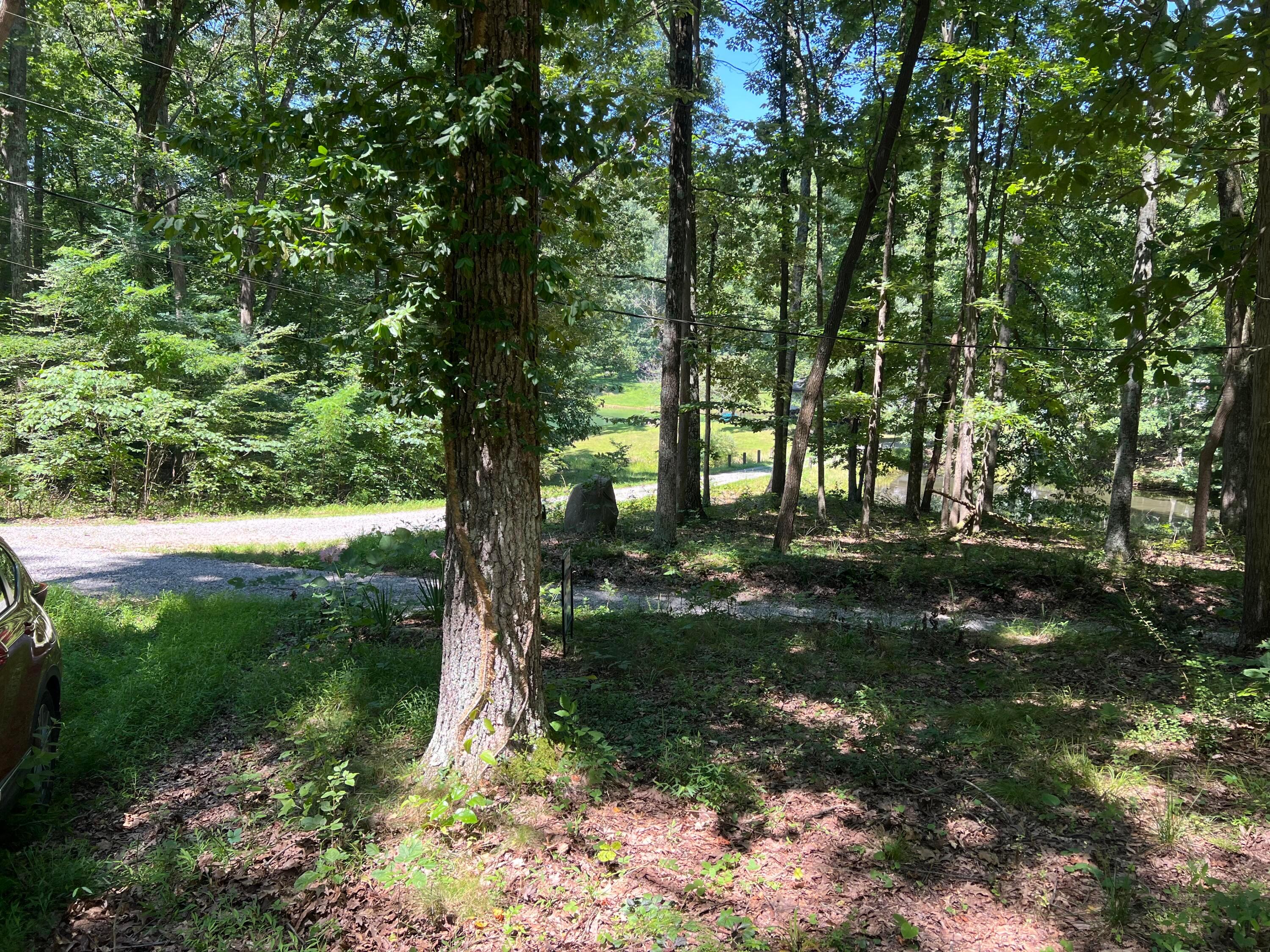 14212 Long Run Road