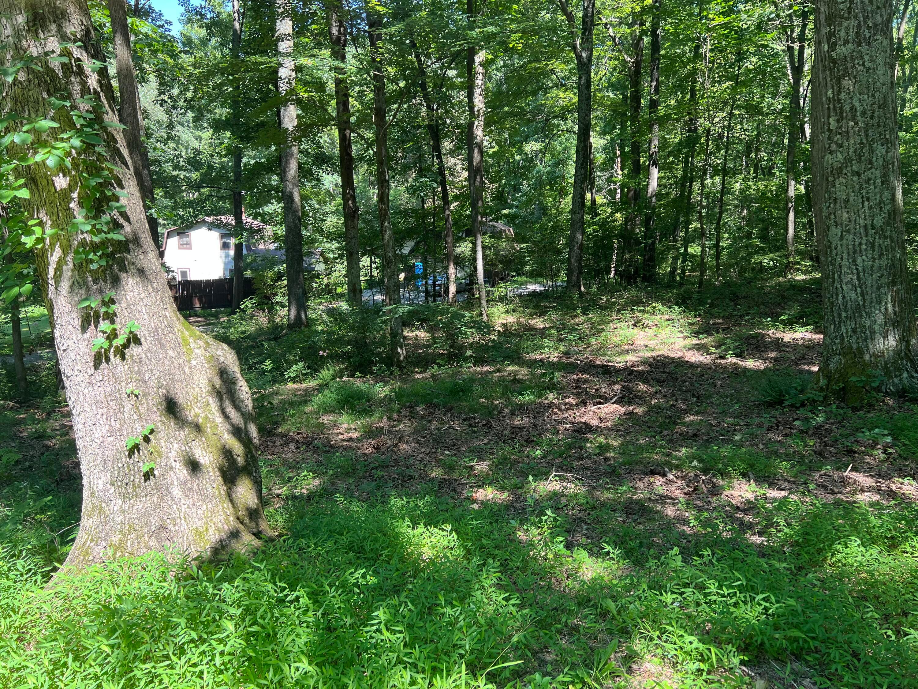 14212 Long Run Road