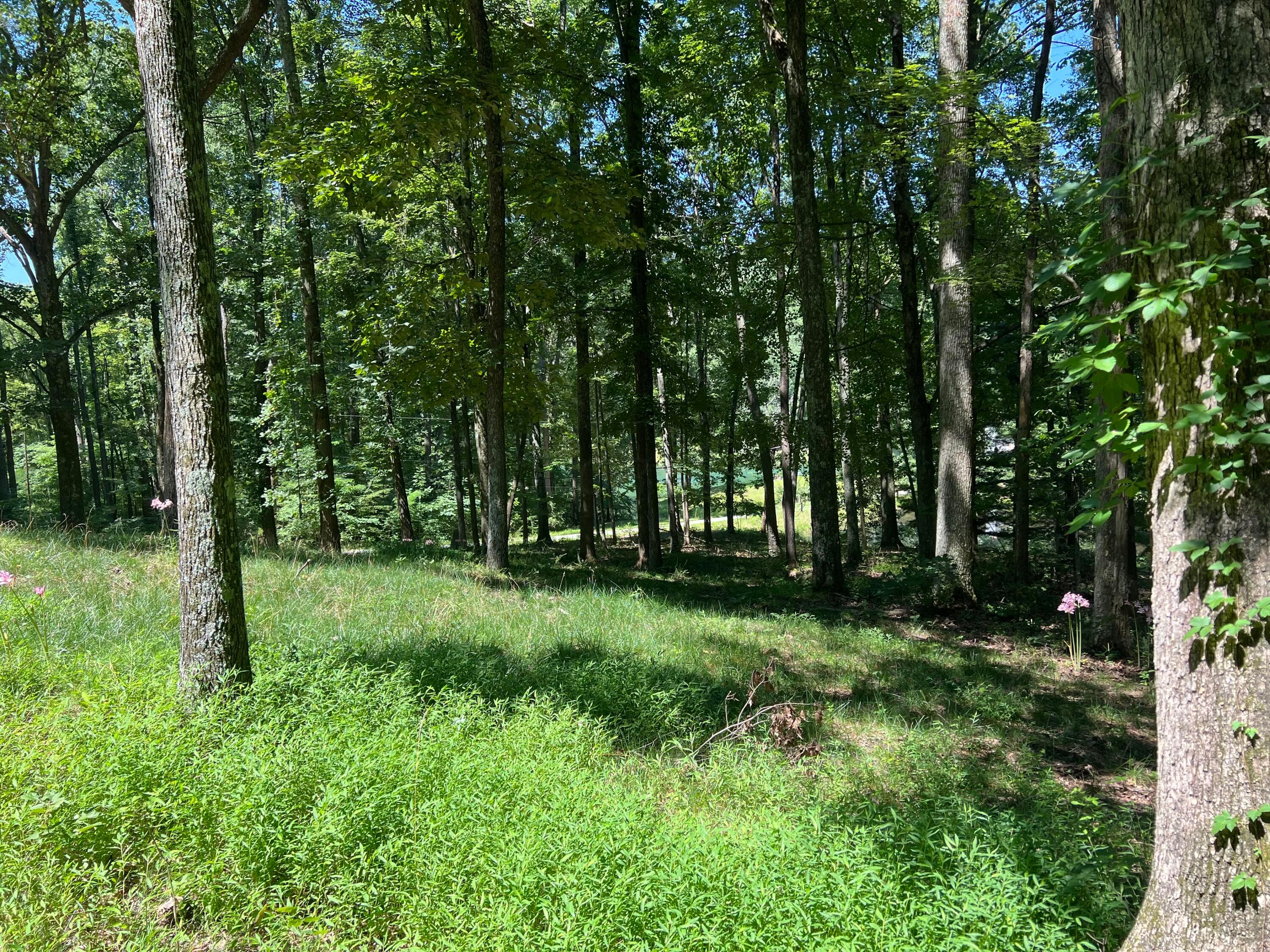 14212 Long Run Road