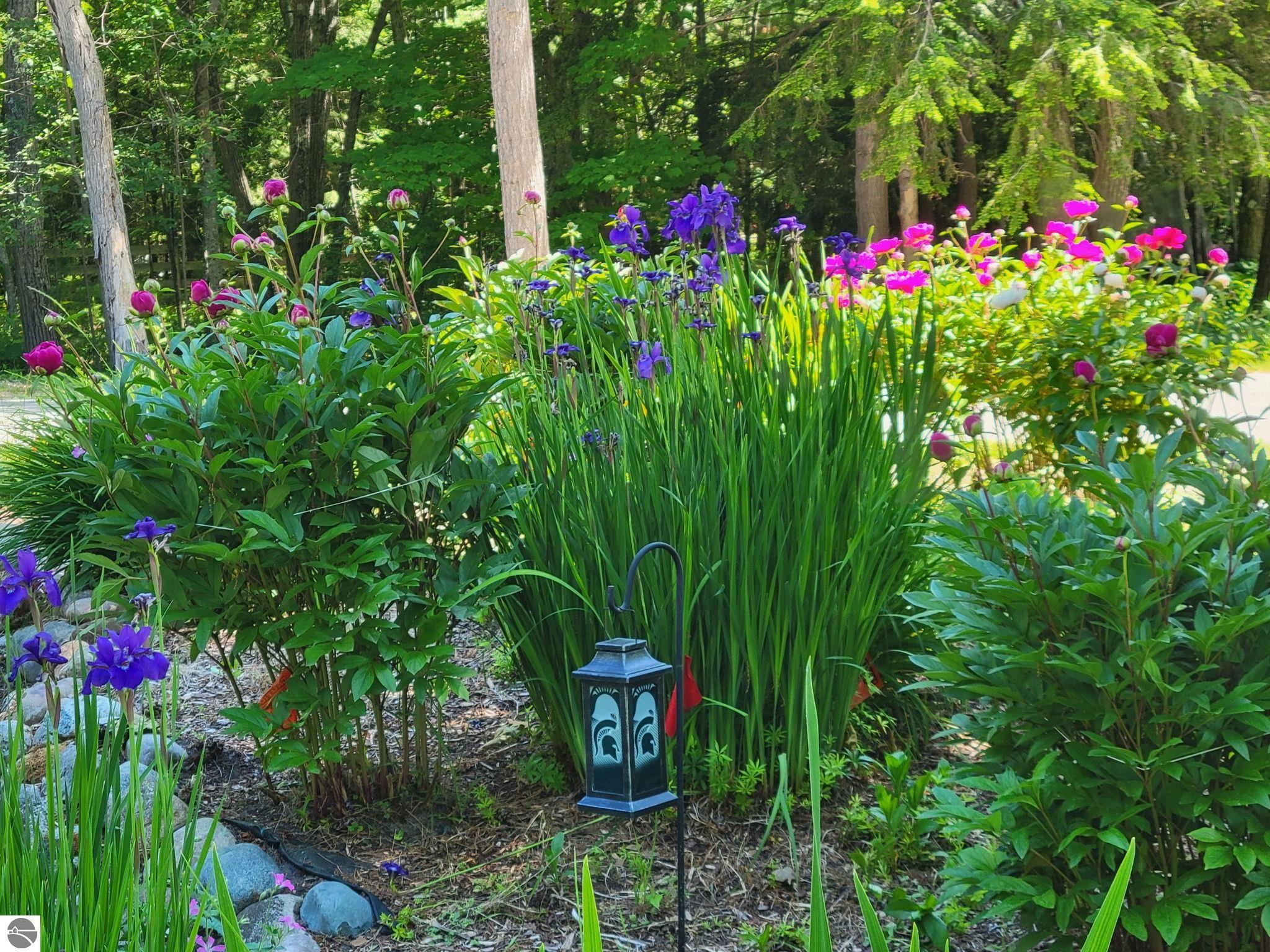 12981 N Forest Beach Shores