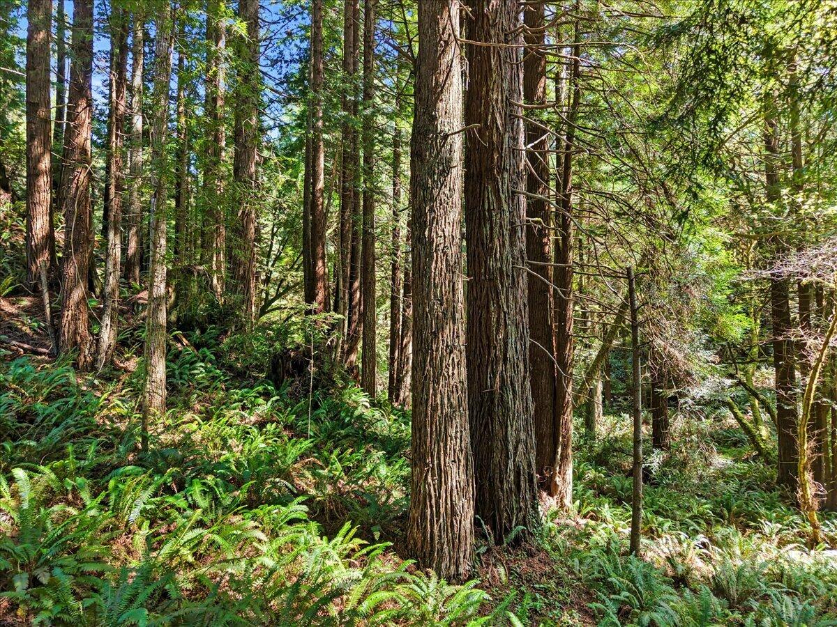 2485 Sonnenfelt Road