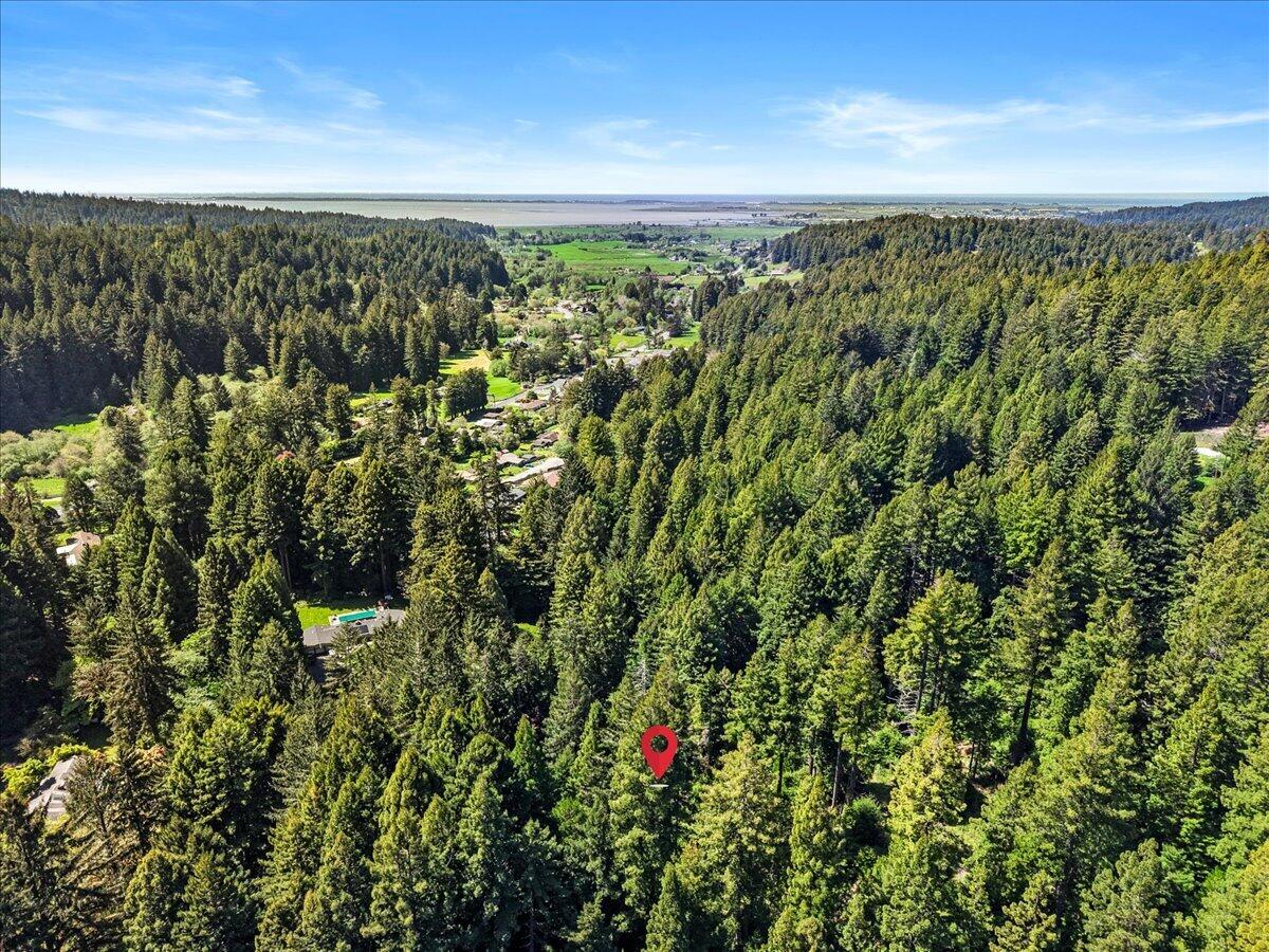 2485 Sonnenfelt Road