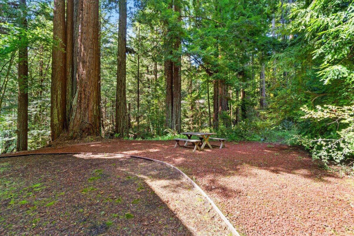 2485 Sonnenfelt Road