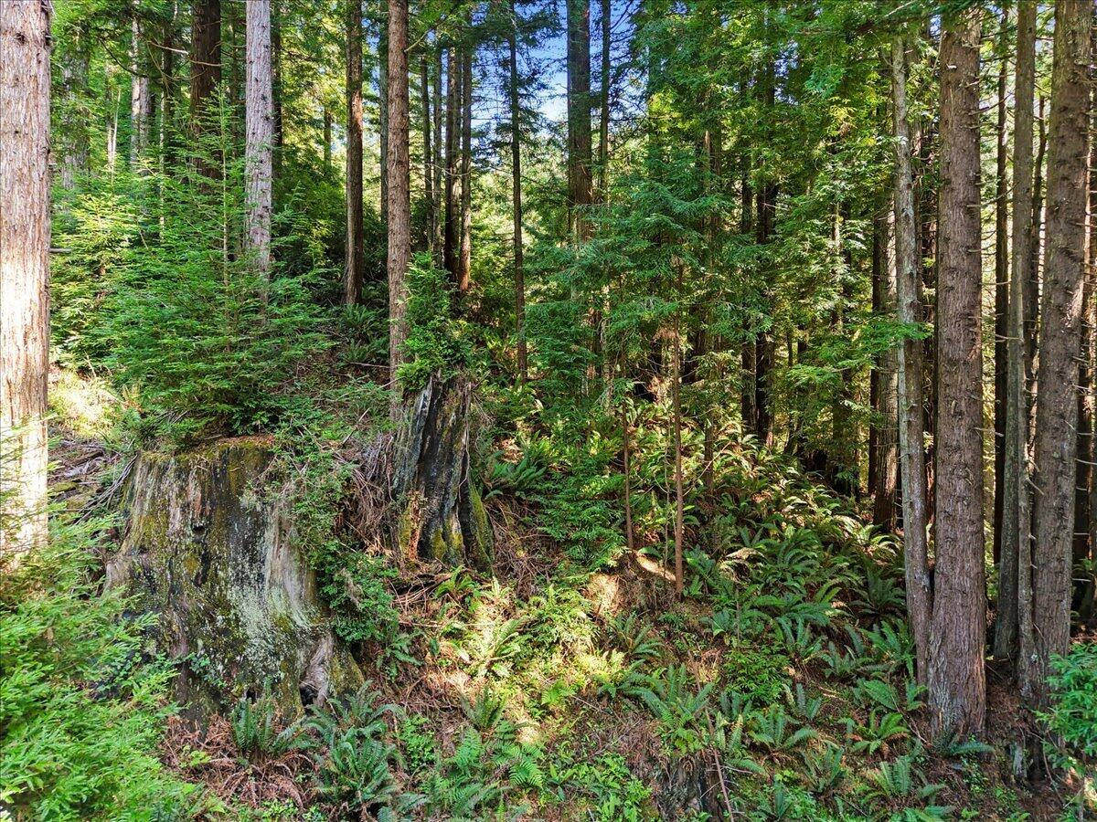 2485 Sonnenfelt Road