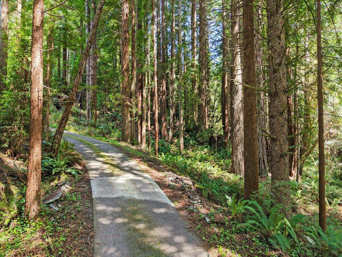 2485 Sonnenfelt Road