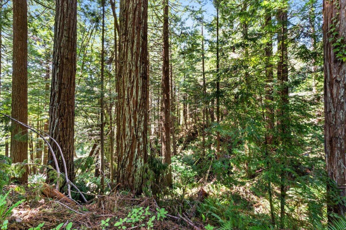 2485 Sonnenfelt Road