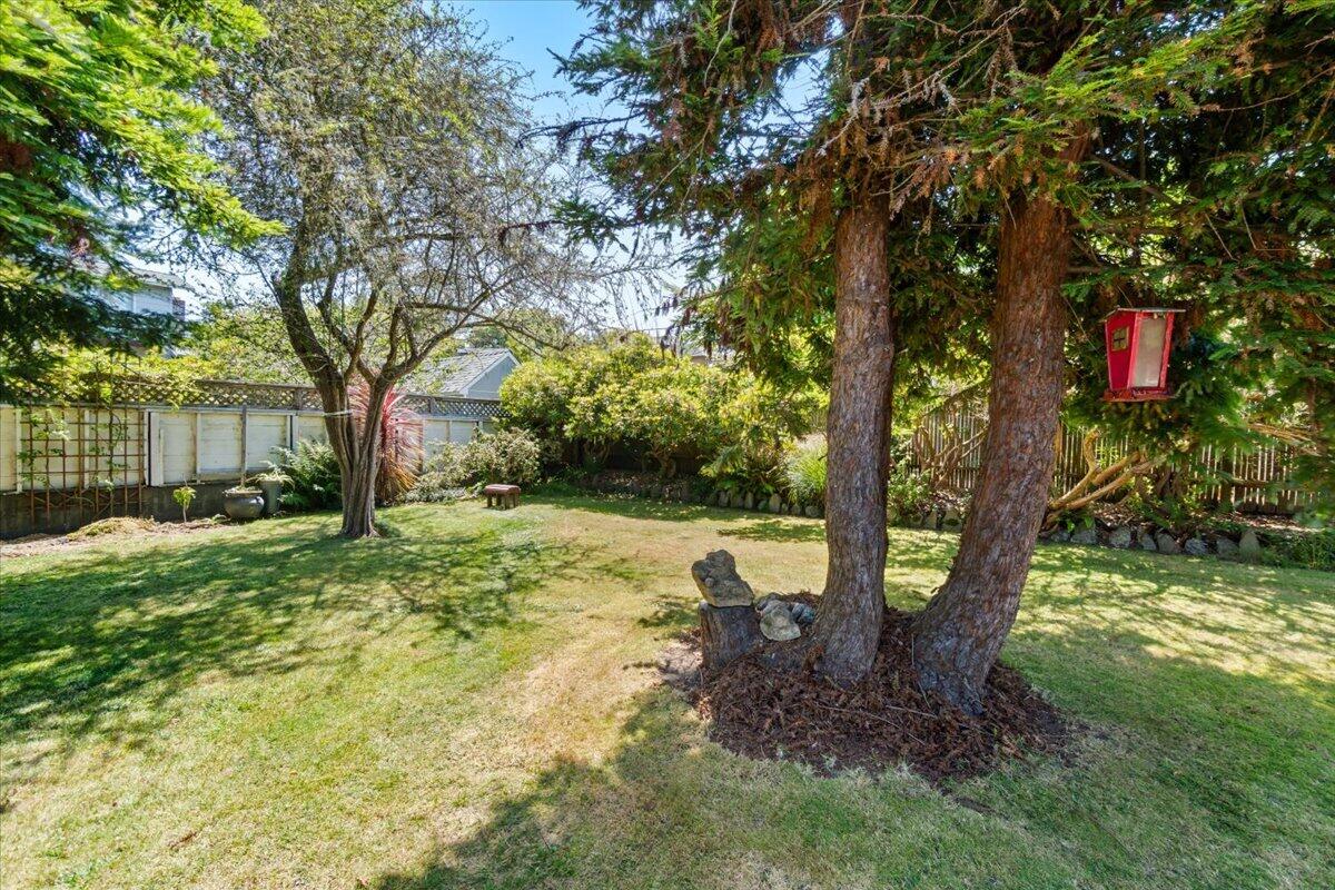 2015 Williams Street