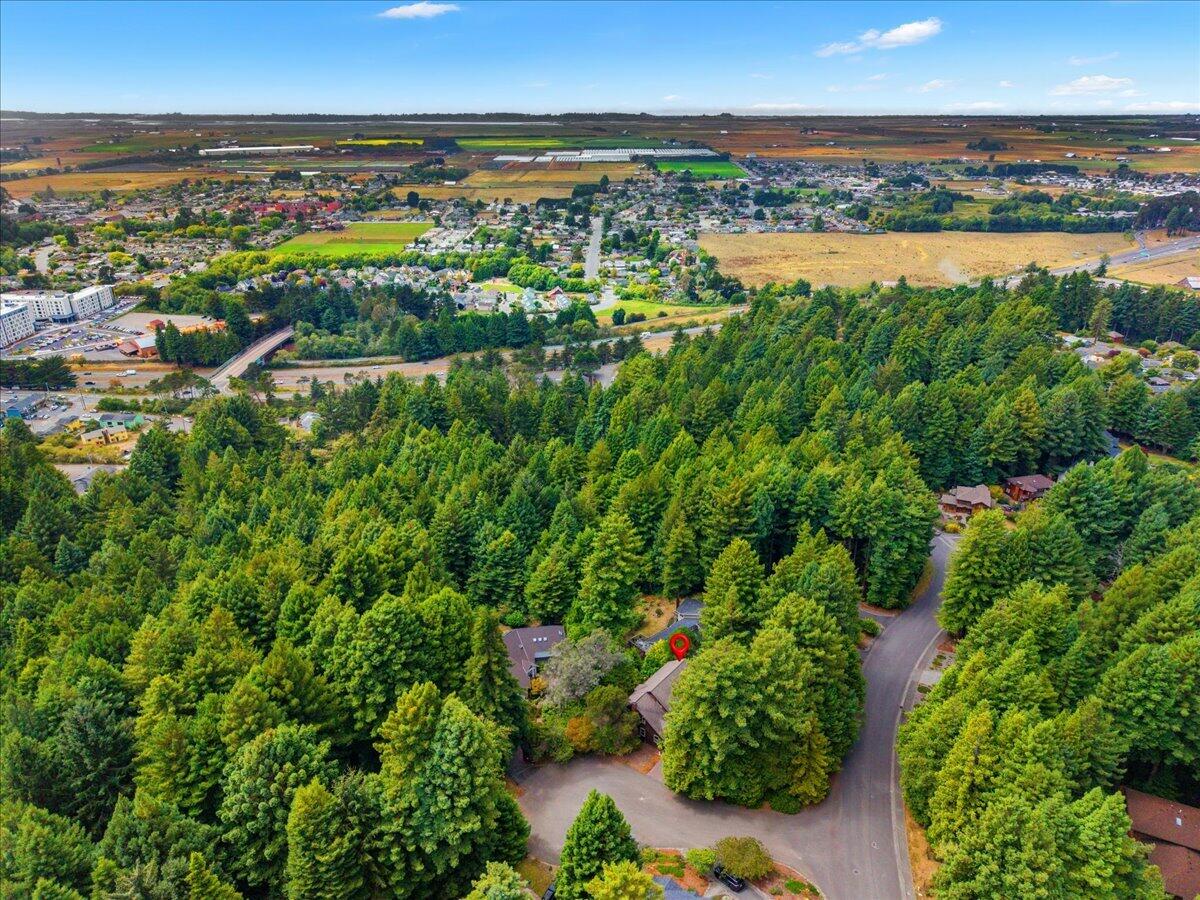 3111 Deer Fern Court