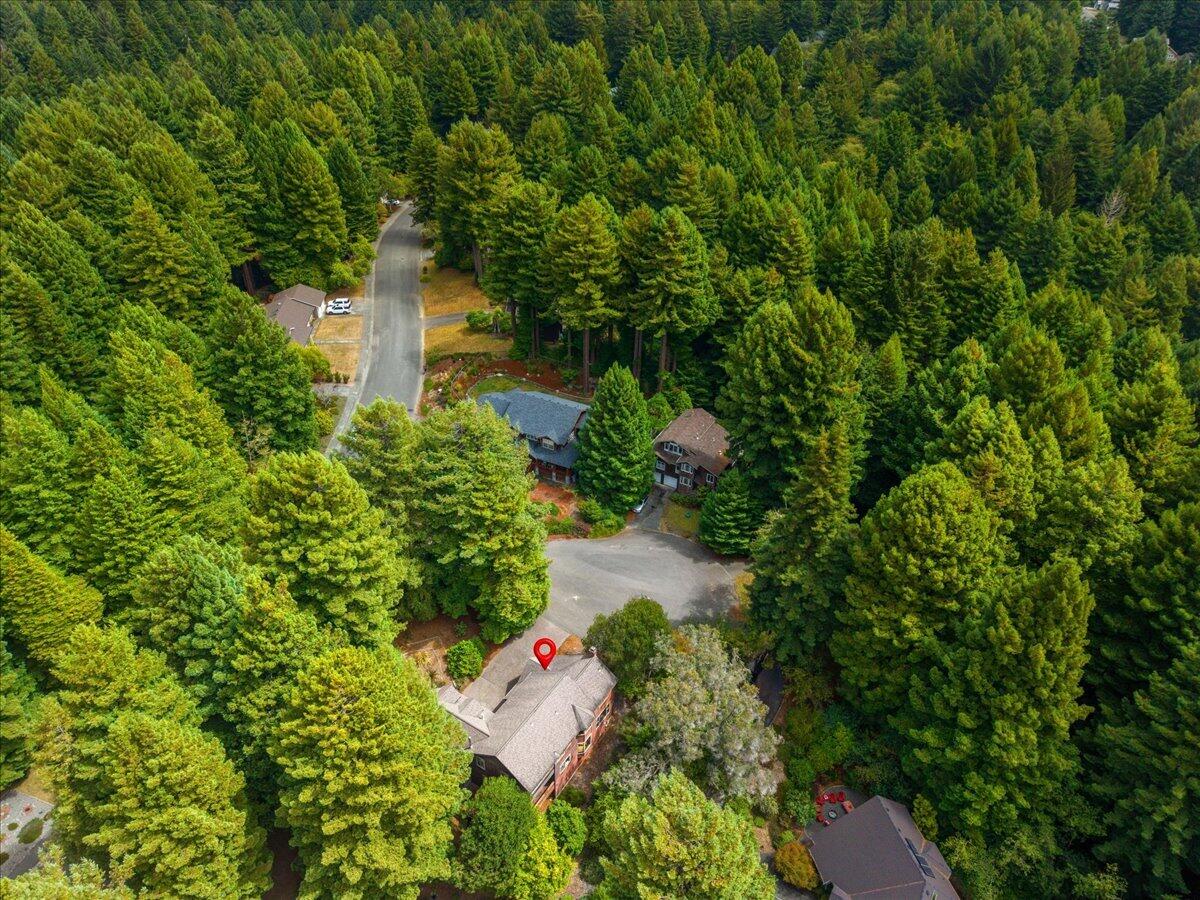 3111 Deer Fern Court