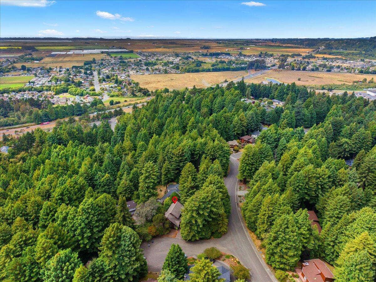 3111 Deer Fern Court