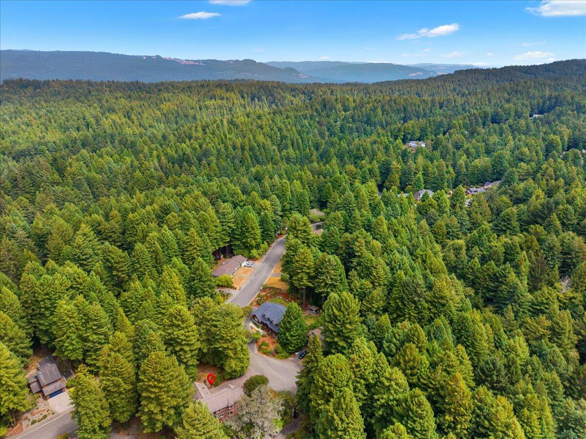 3111 Deer Fern Court