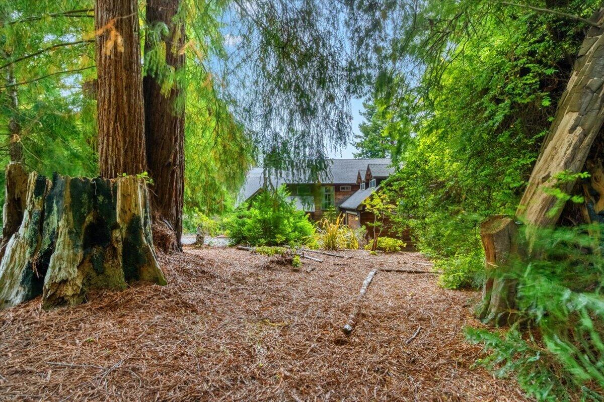 3111 Deer Fern Court