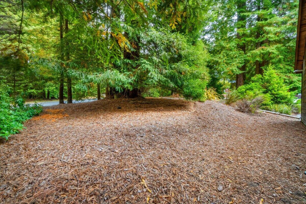 3111 Deer Fern Court