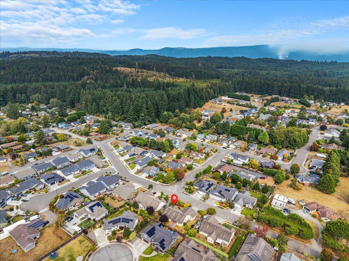 Aerial neighborhood view with a red marker among homes and forested hills in the distance.