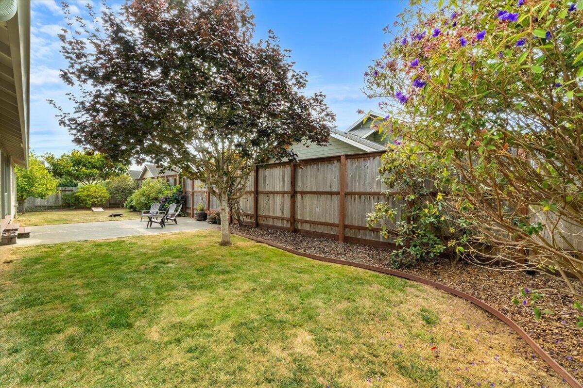 Backyard lawn and patio with a wooden fence, red-leaf tree, and purple flowering shrub.