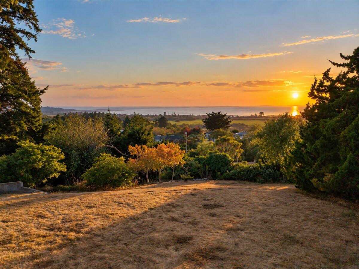 Ocean sunset viewed over a landscaped hillside yard and treetops.