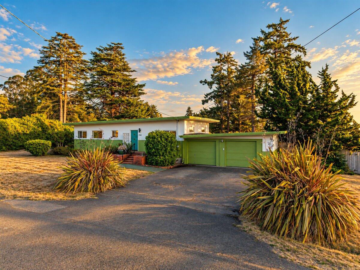 Single-story home with green trim and double garage, framed by ornamental plants and tall evergreens.