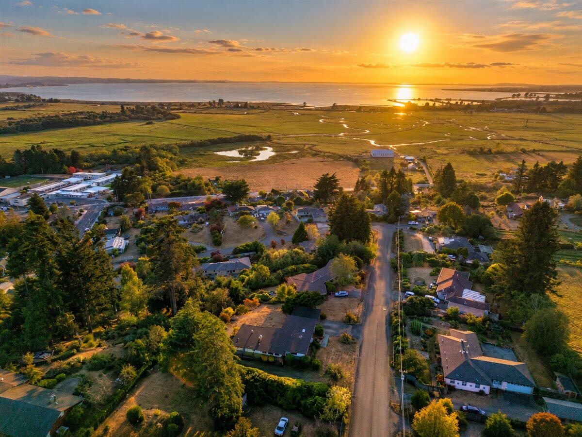 Aerial view of a neighborhood, tidal marsh, and bay glowing in the sunset.