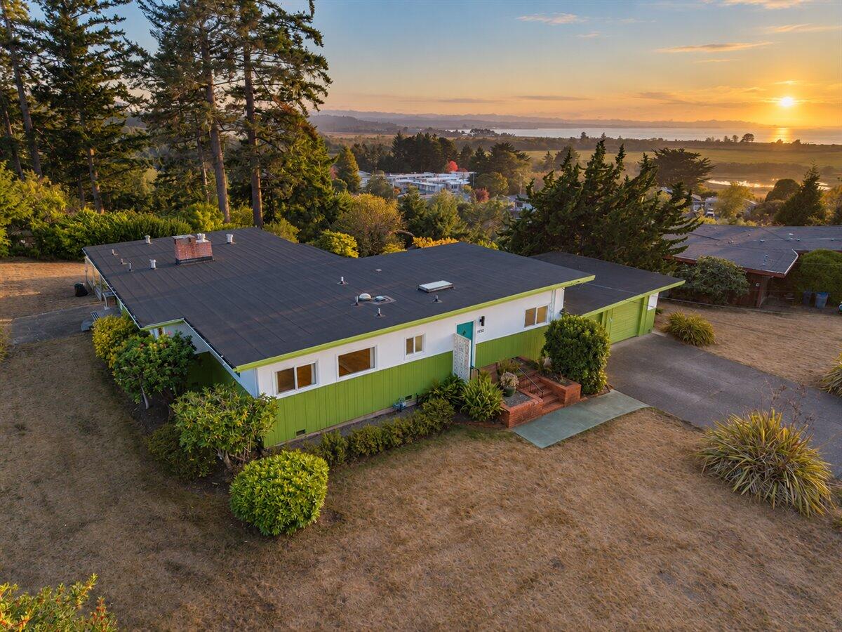 Aerial view of a green-sided home surrounded by trees, with distant water at sunset.