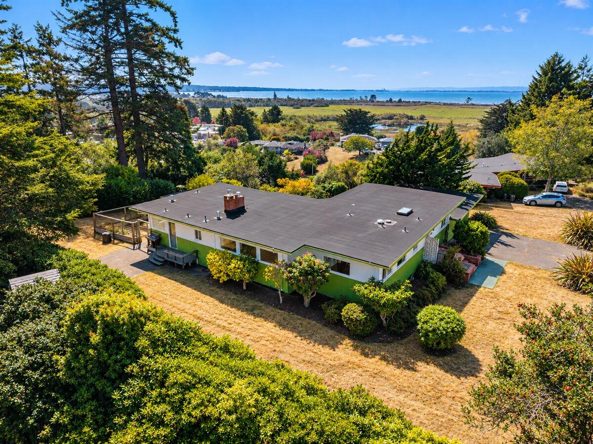Aerial view of a green single-story home with a flat roof and distant water view.