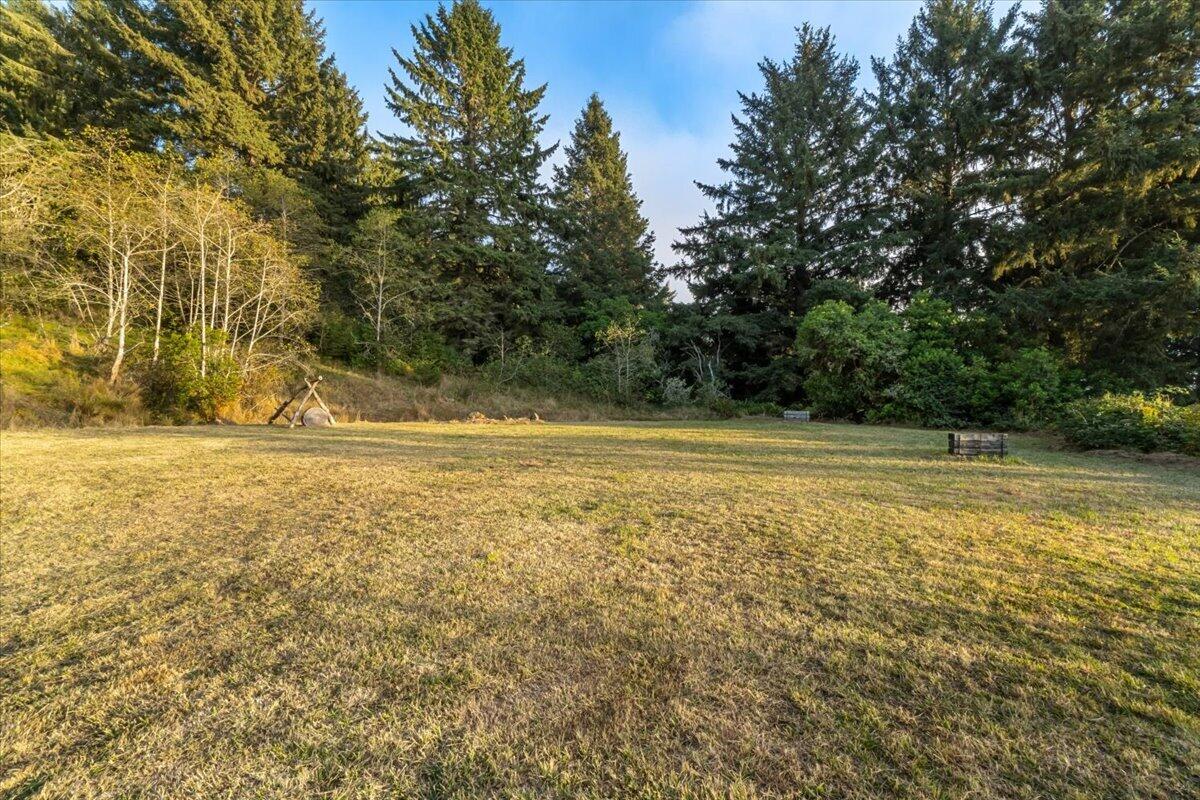 Open grassy yard bordered by tall evergreen trees, with a small tripod structure near the lawn’s edge.