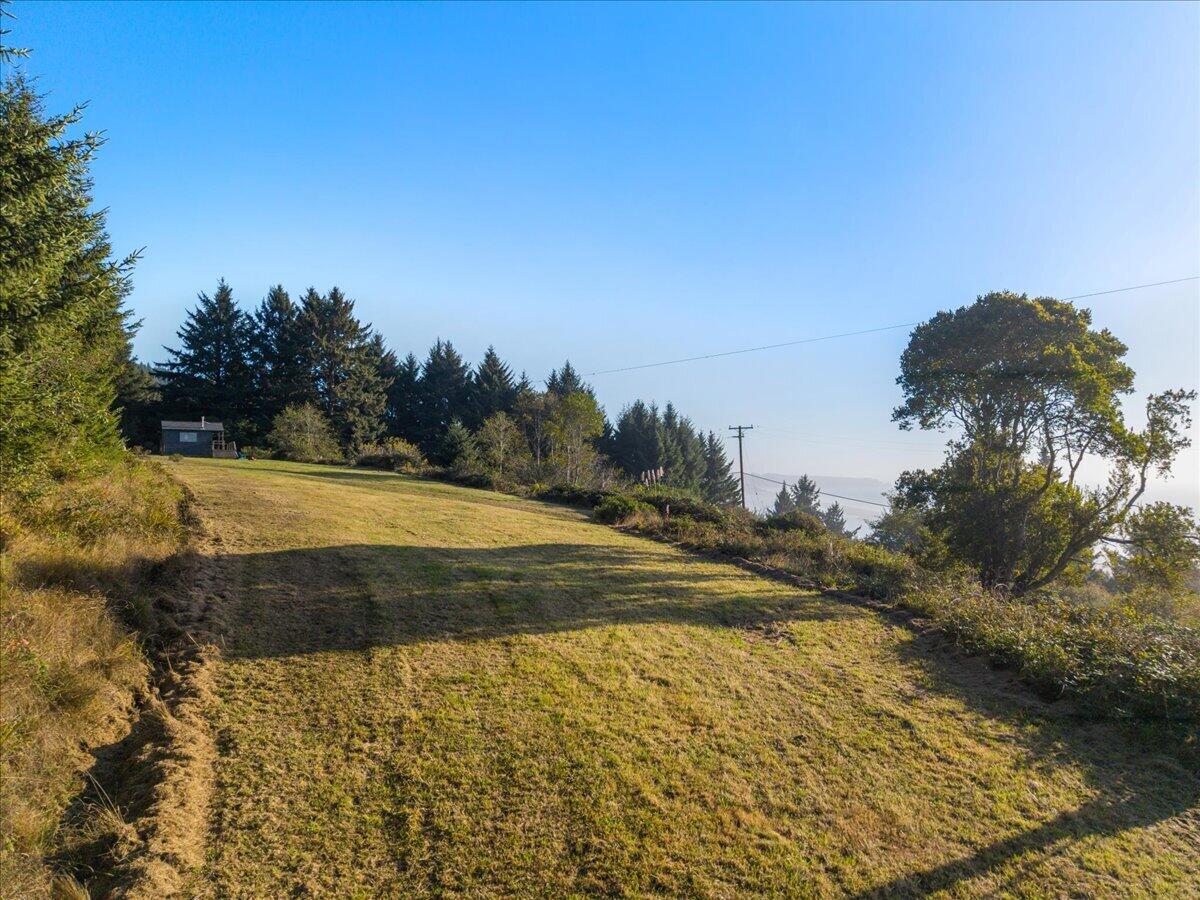 Grassy rural clearing bordered by trees, with a small outbuilding and long late-day shadows.