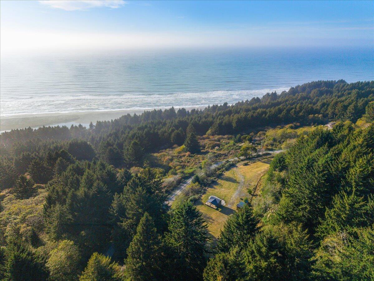 Aerial view of a grassy coastal property with small outbuildings, forest, beach, and ocean.