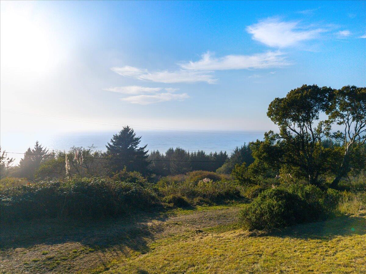 Pacific Ocean view beyond trees and grassy coastal grounds.