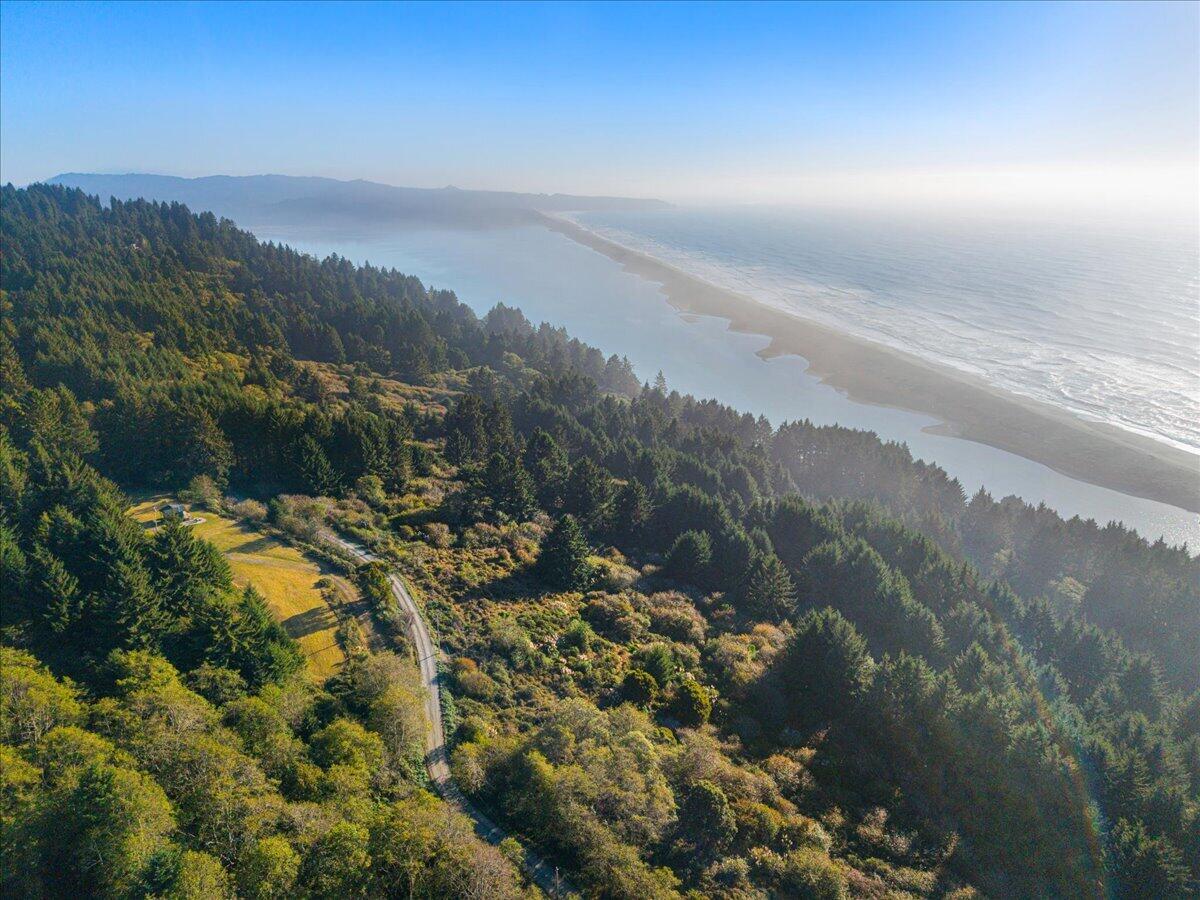 Aerial view of wooded coastal acreage with a winding road, beach, and Pacific shoreline.