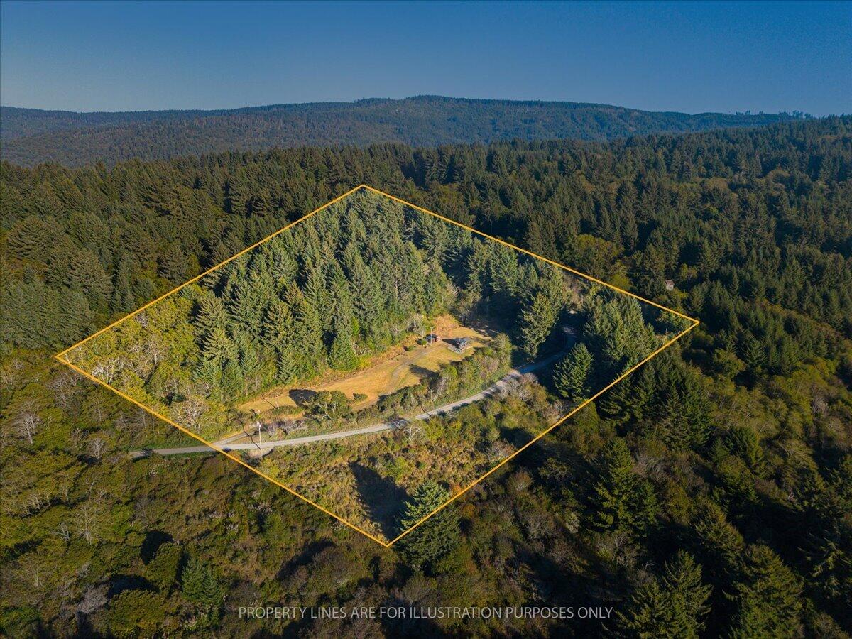 Aerial view of a forested property outlined in yellow, with a clearing, small structure, and access road.