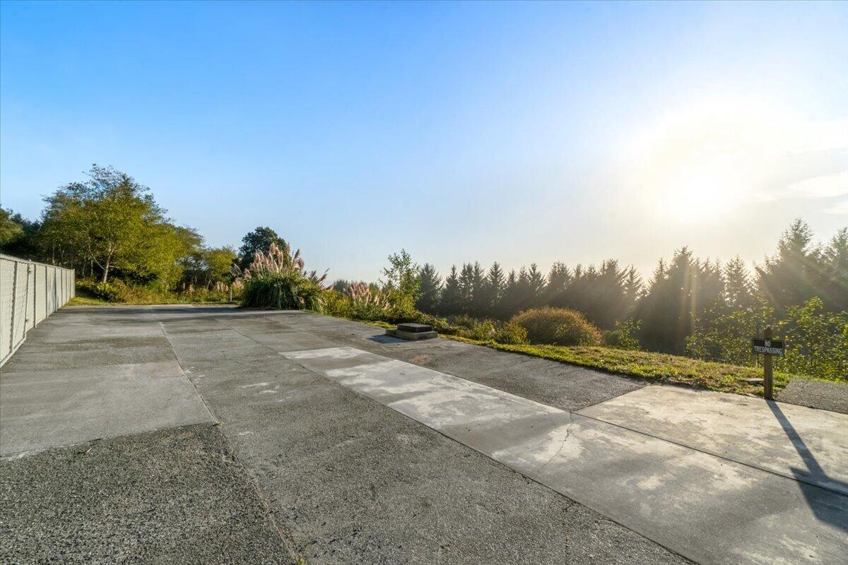 Concrete driveway bordered by a fence and landscaping, with evergreen trees beyond in golden sunlight.