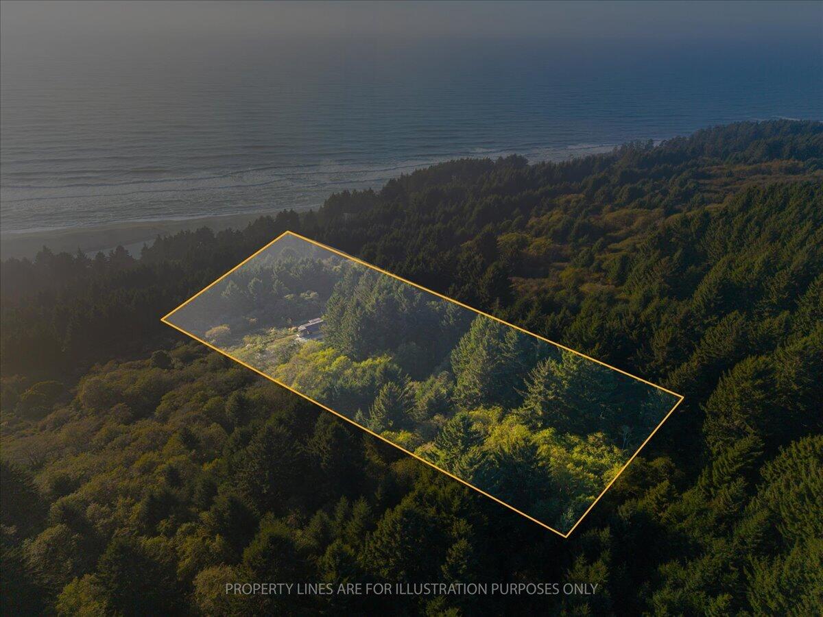 Aerial view of a forested coastal property outlined in yellow beside the ocean.