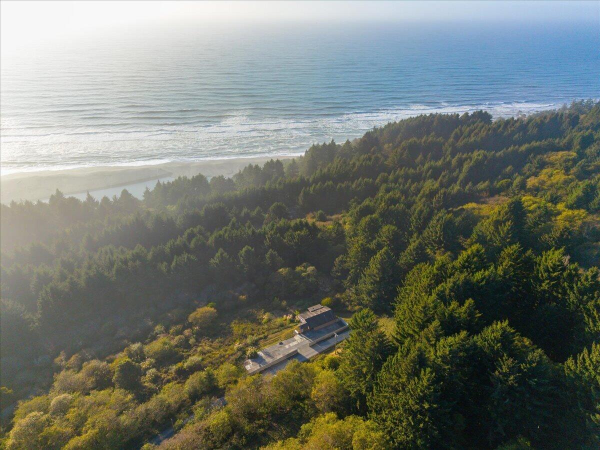 Coastal home nestled in forest above a sandy beach and ocean.