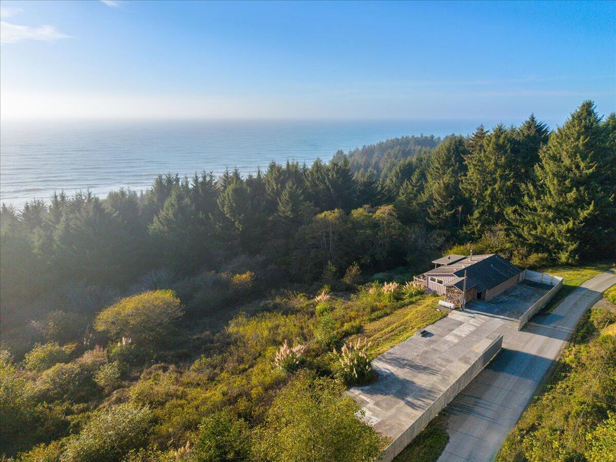 Aerial view of a coastal home beside forest, with the ocean beyond.